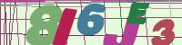 Chuck Norris has counted to infinity. Twice.