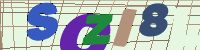 Chuck Norris has counted to infinity. Twice.