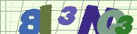 Chuck Norris has counted to infinity. Twice.