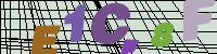 Chuck Norris has counted to infinity. Twice.