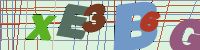 Chuck Norris has counted to infinity. Twice.