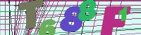 Chuck Norris has counted to infinity. Twice.