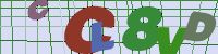 Chuck Norris has counted to infinity. Twice.