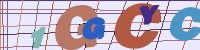 Chuck Norris has counted to infinity. Twice.
