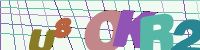 Chuck Norris has counted to infinity. Twice.