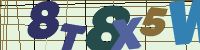 Chuck Norris has counted to infinity. Twice.