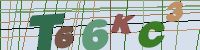 Chuck Norris has counted to infinity. Twice.