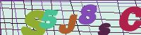 Chuck Norris has counted to infinity. Twice.