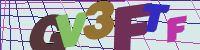 Chuck Norris has counted to infinity. Twice.