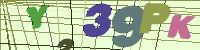 Chuck Norris has counted to infinity. Twice.