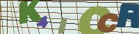 Chuck Norris has counted to infinity. Twice.