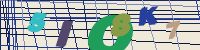 Chuck Norris has counted to infinity. Twice.
