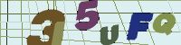 Chuck Norris has counted to infinity. Twice.